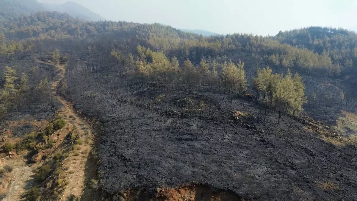 yangin alanlari dronla goruntulendi 4fA28bQZ