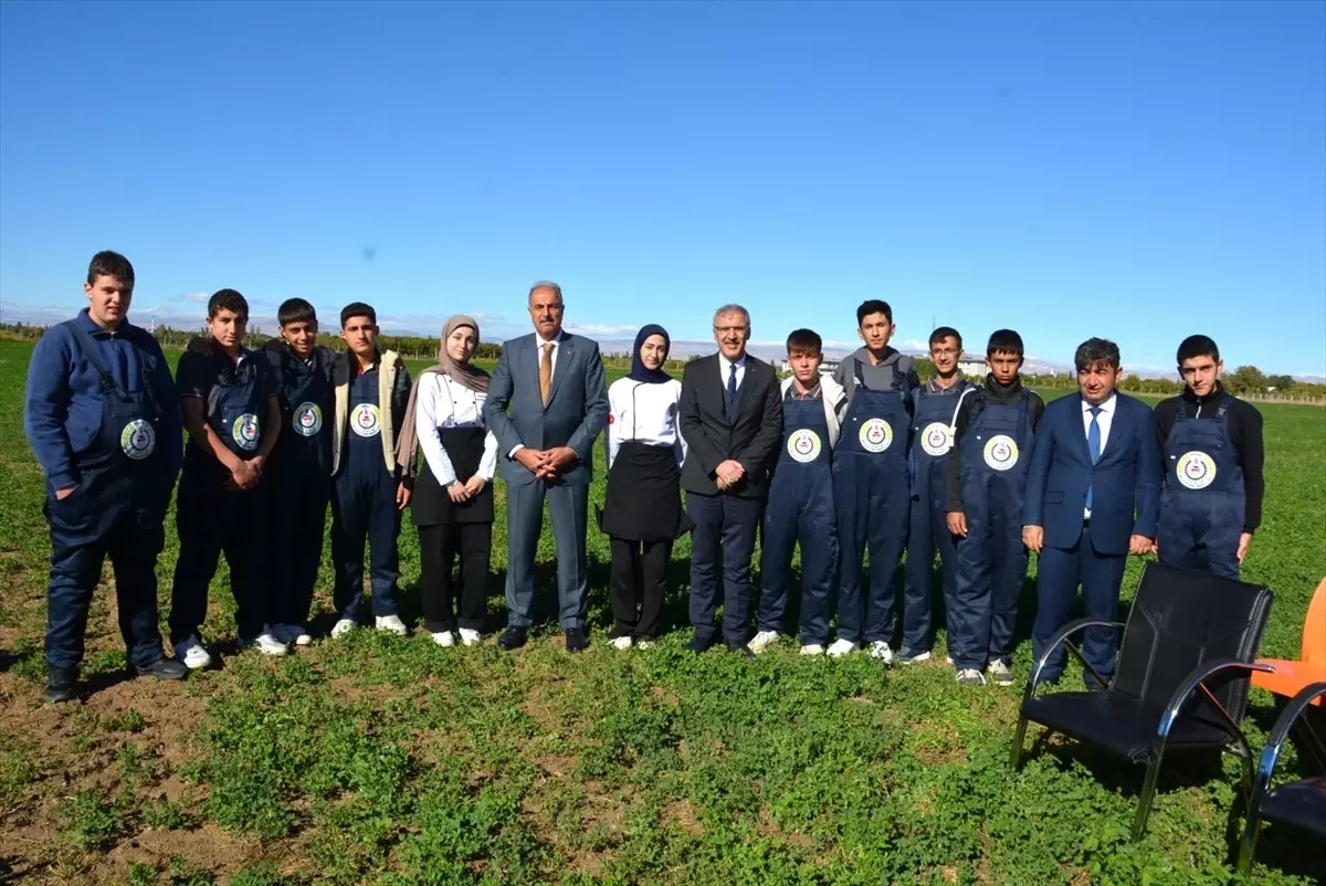 battalgazi tarim lisesinde misir hasadi gerceklestirildi UZ5vjAt9.jpg