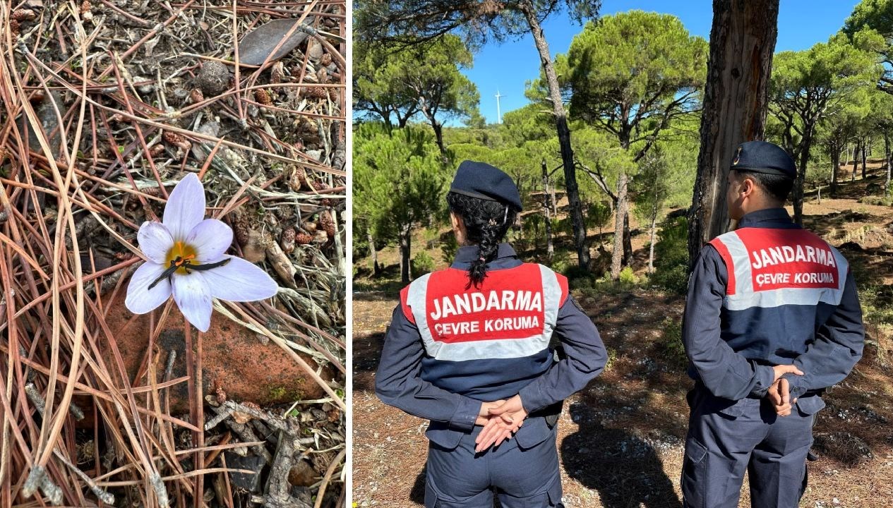 bu cicegi koparmanin cezasi 557 bin tl GYiE5mEw