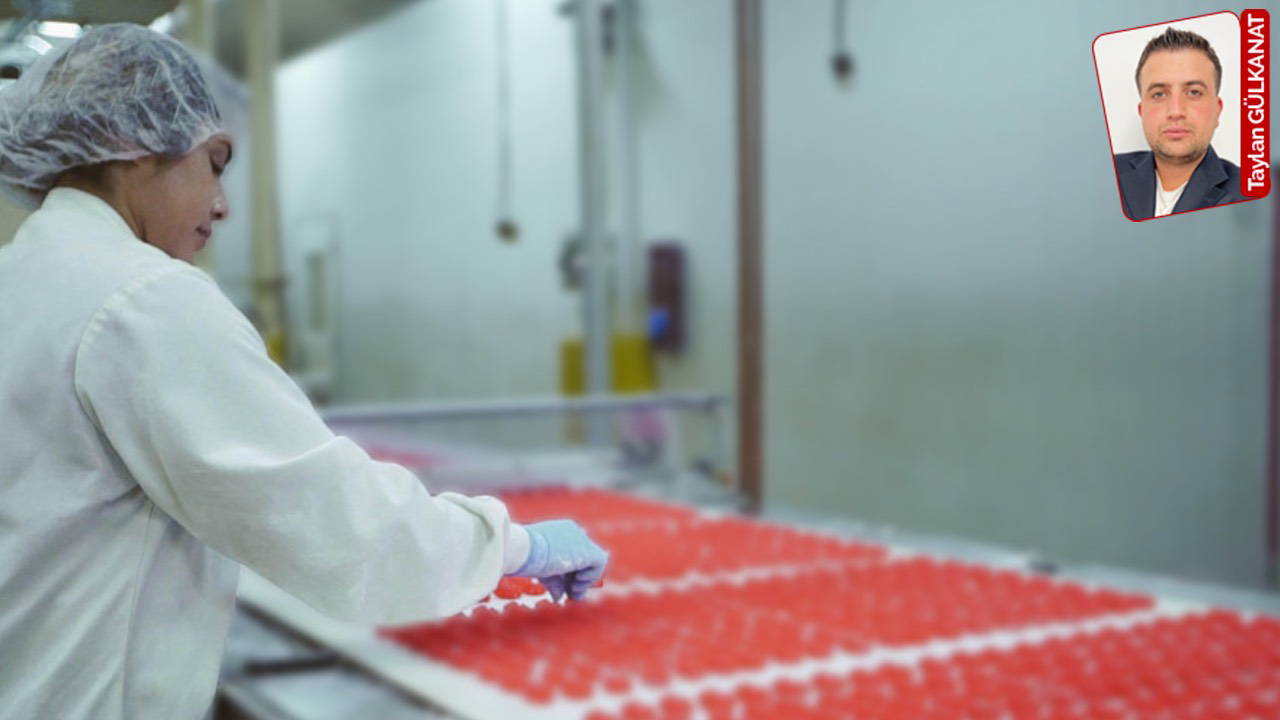 gida sektorunde kayit disi uretim ve istihdam sorunu halk sagligini tehdit ediyor AZbfRLFP.jpg