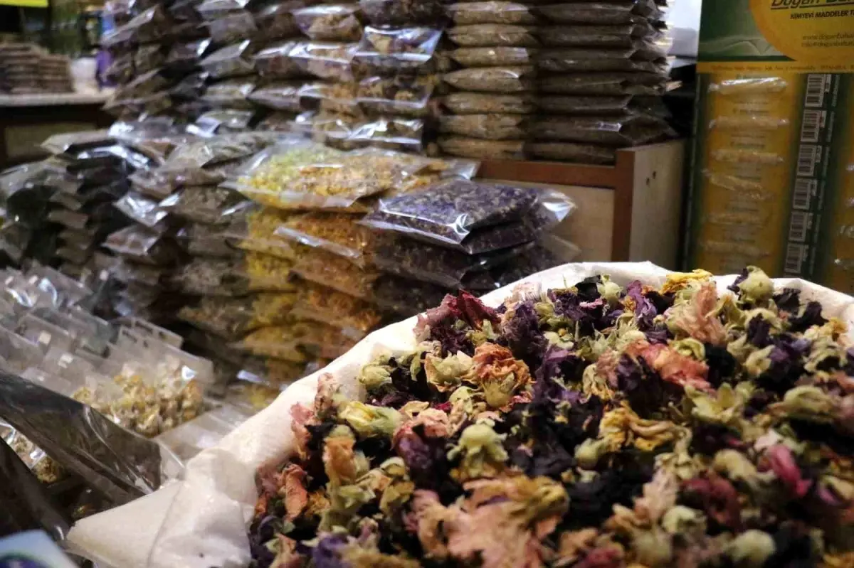 sakaryada soguk alginligina karsi aktarlara yogun ilgi BdVqFiDI