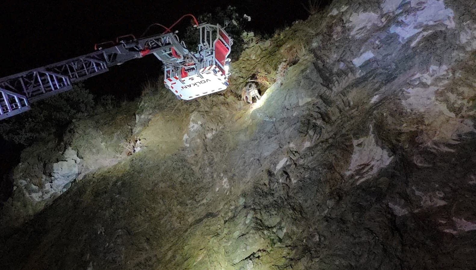 ucurumun ortasinda mahsur kalan kopege itfaiye yetisti cnKCKnyI.jpg