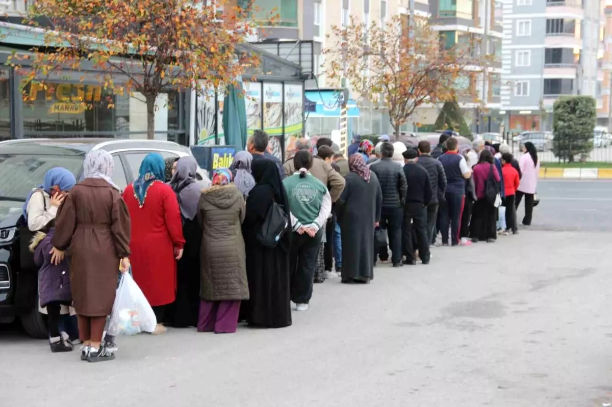 corumda hamsi fiyatlari 40 tlye dusunce kuyruklar olustu FTtqqNBU.jpg