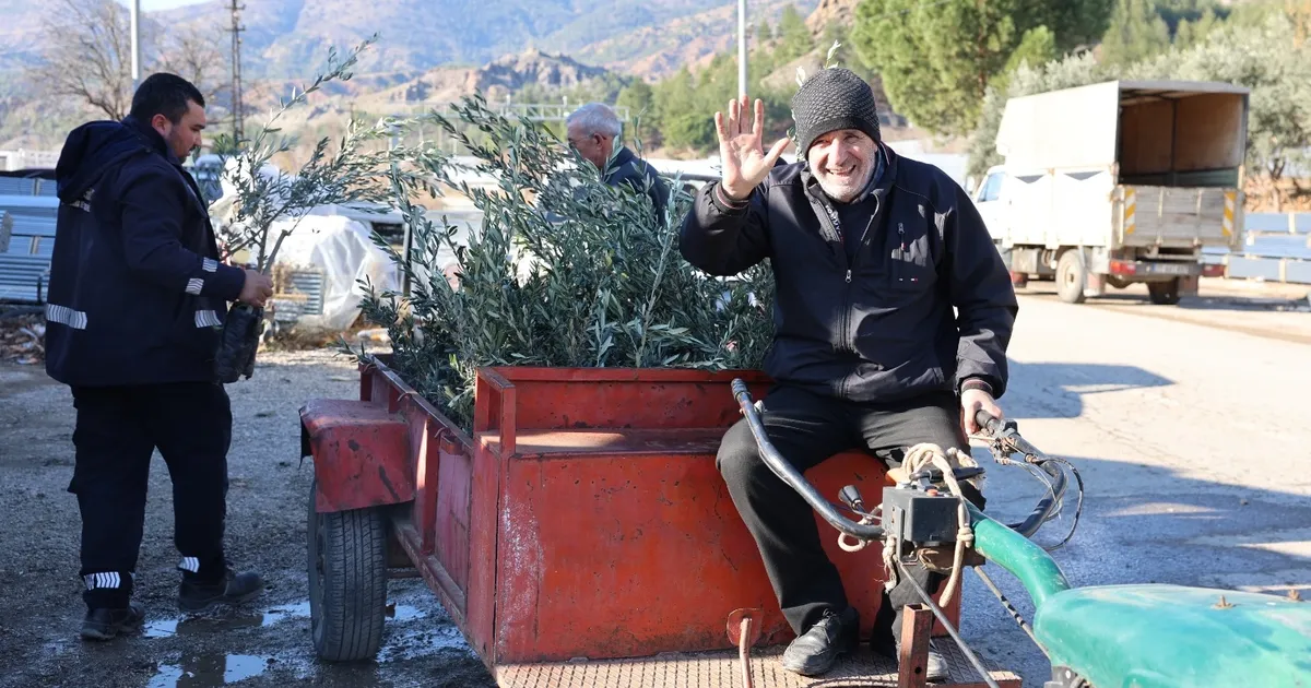 eskisehirdebuyuksehir belediyesinden ureticilere zeytin fidani destegi 564rzyR8.webp