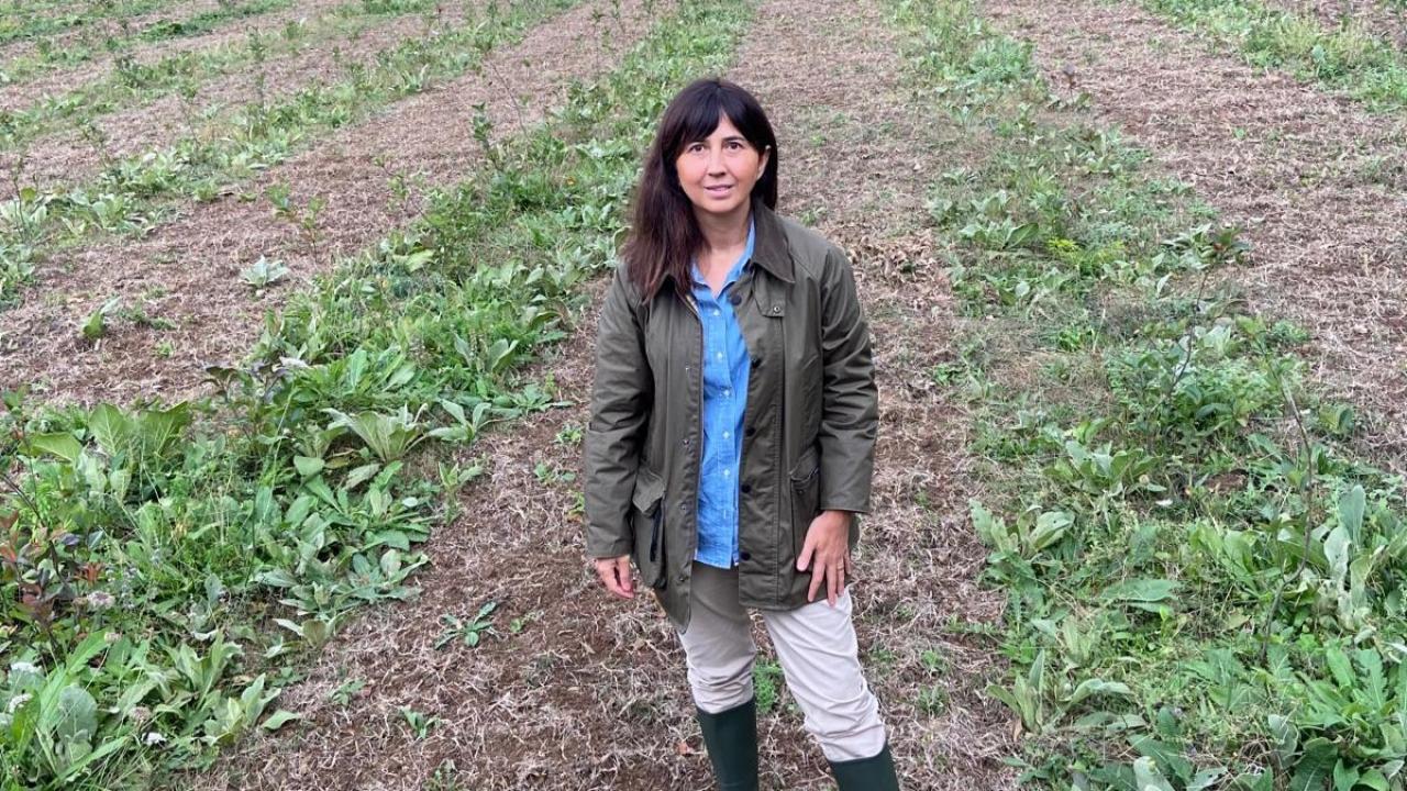 kariyerini birakti topraga dondu seda cem kadin ciftcilere ilham oluyor bHzfRMFU.jpeg