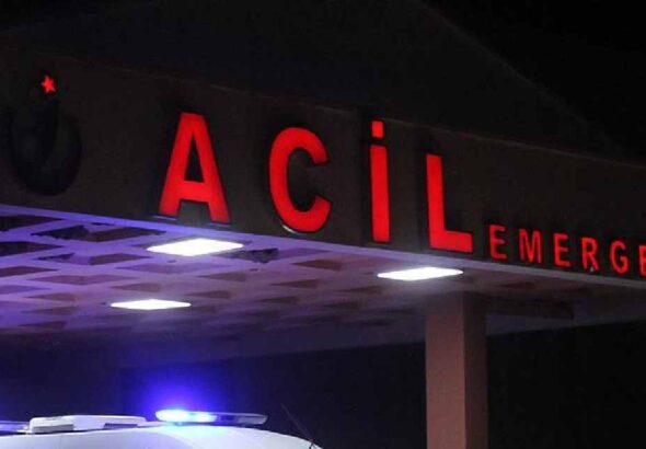 havalar-isindi-ortaya-cikti-kene-bir-can-daha-aldi-ISVGj5Px