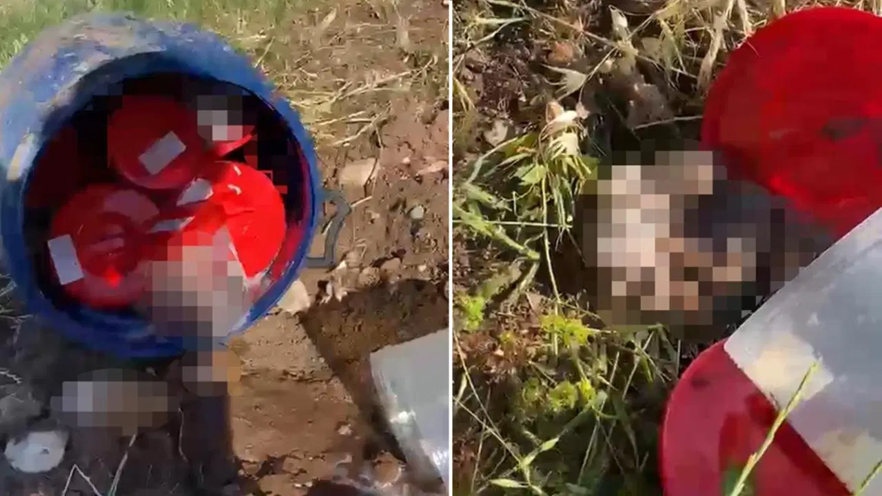 Şanlıurfa’daki Cenin Olayı: Ticari Amaçlarla Kullanım İddiası Şok Etti