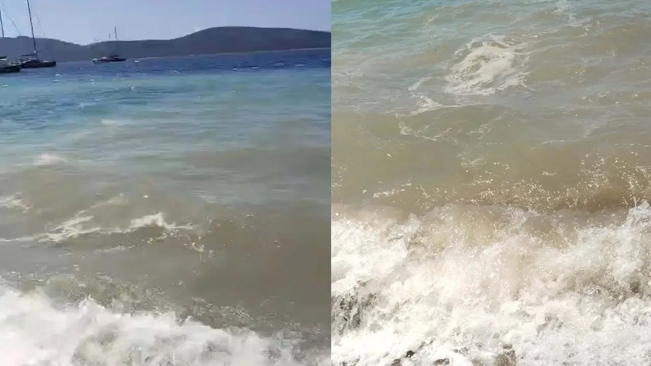 Bodrum’da deniz kirliliği: Soruşturma başlatıldı Img