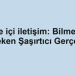 Aile içi iletişim: Bilmeniz Gereken Şaşırtıcı Gerçekler