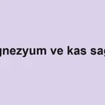 Magnezyum ve kas sağlığı