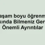 yasam-boyu-ogrenme-hakkinda-bilmeniz-gereken-onemli-ayrintilar.webp